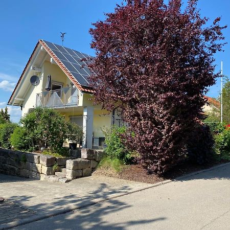 Ferienwohnung Messmer Mit Terrasse Heiligenborn 外观 照片