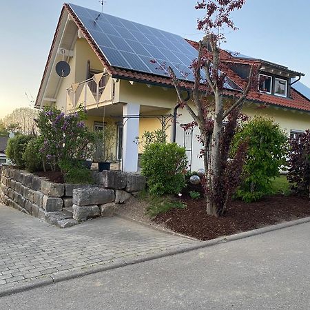 Ferienwohnung Messmer Mit Terrasse Heiligenborn 外观 照片