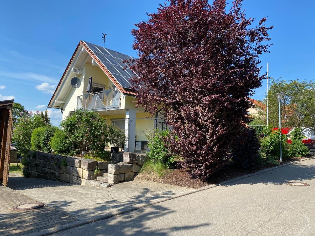 Ferienwohnung Messmer Mit Terrasse Heiligenborn 外观 照片